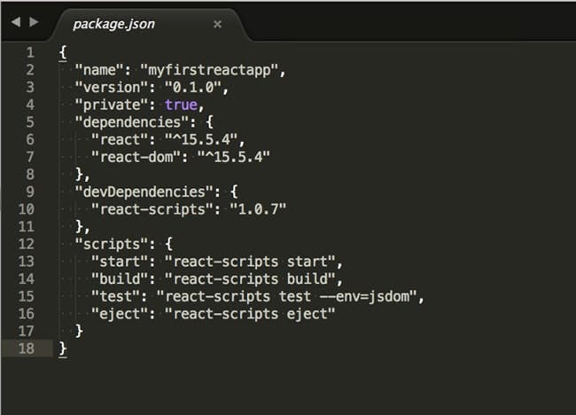 package json file for react