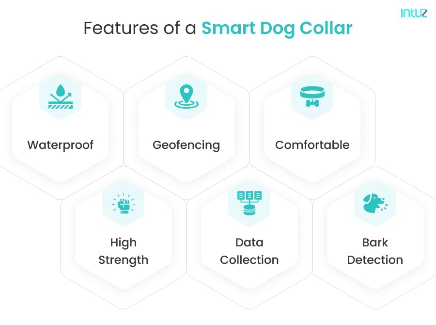 Features of smart dog collar