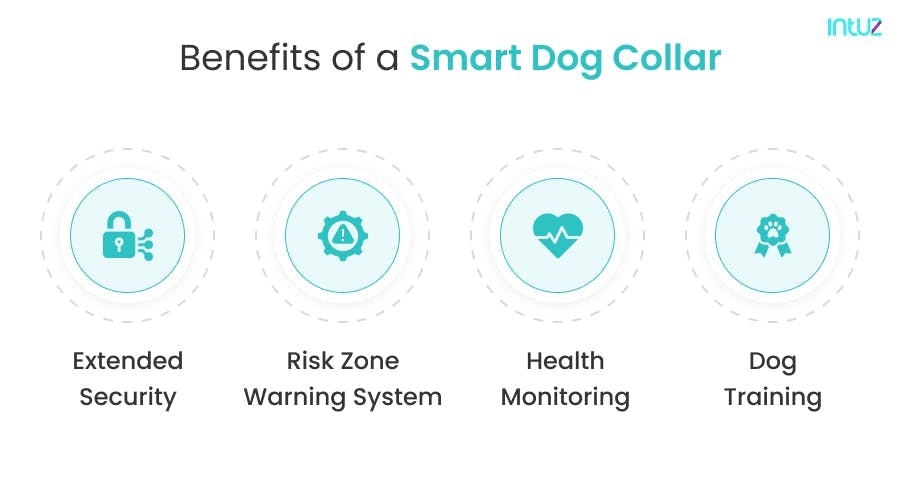 Benefits of a smart dog collar