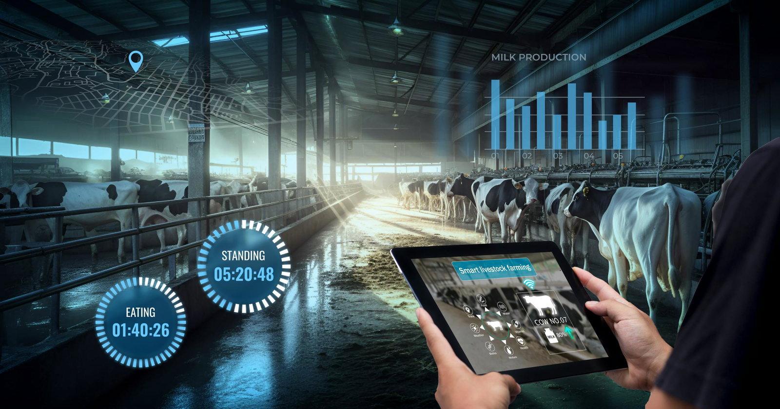 AI & IoT for Livestock Management: Track & Monitor Animals