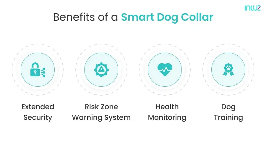 Benefits of a smart dog collar