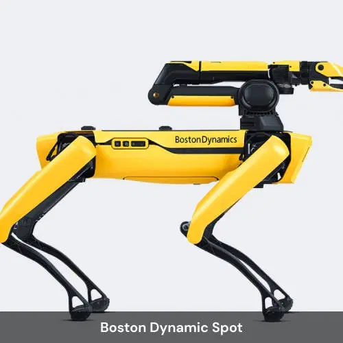 Boston Dynamic Spot