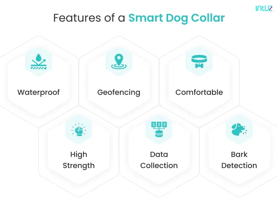 Features of smart dog collar