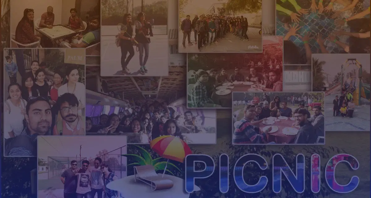 Intuz Picnic: A Day of Leisure
