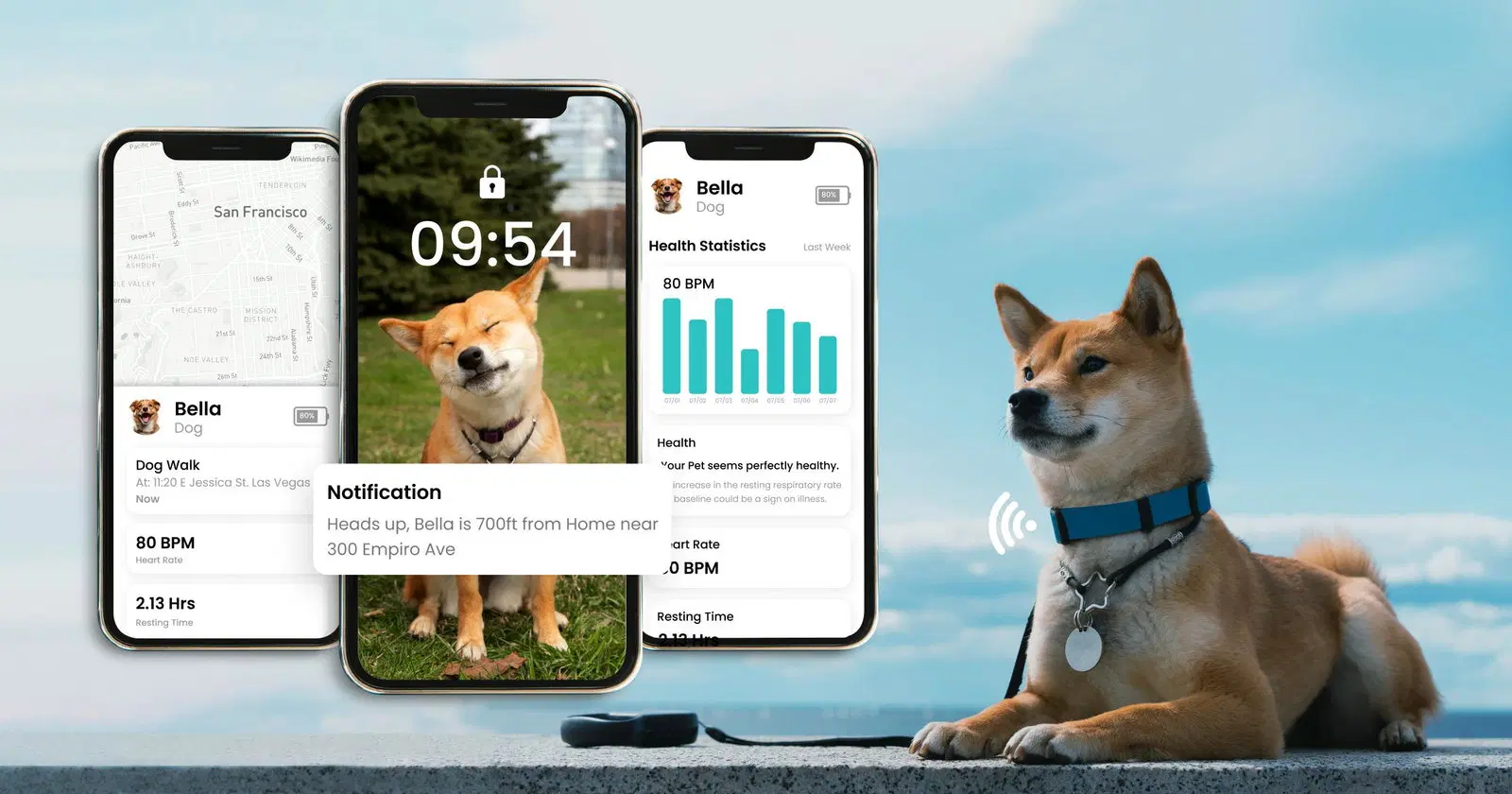 IoT Innovations in Smart Dog Collars for Manufacturers
