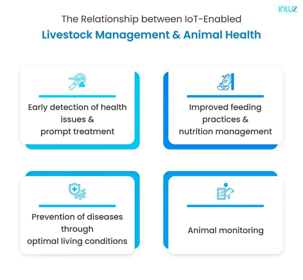 The Relationship Between AI & IoT-Enabled Livestock Management and Animal Health