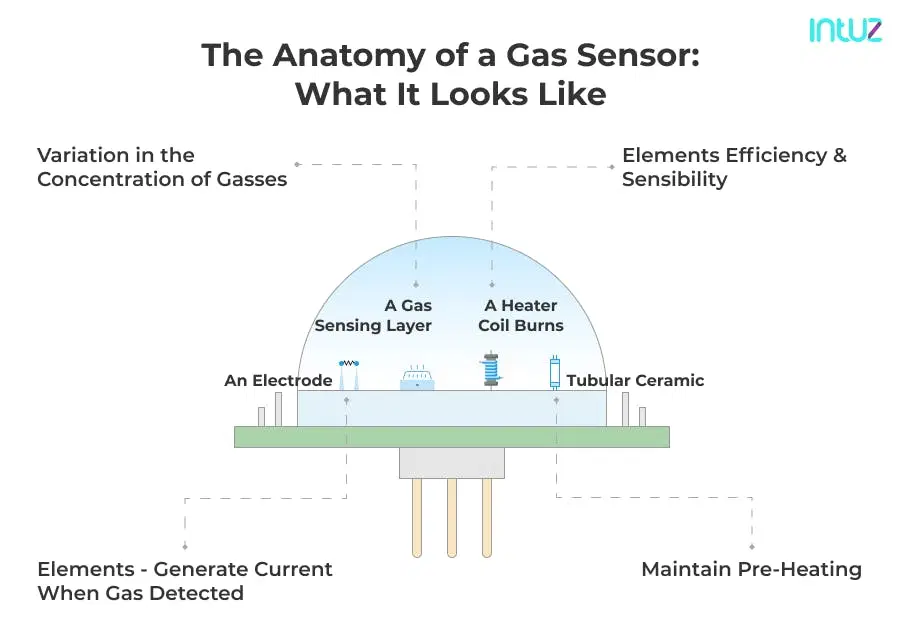 The anatomy of a gas sensors:What It Looks Like